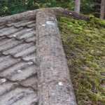 moss removal tm roofing