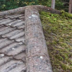 moss removal tm roofing